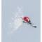 RTO Ladybug on the Dandelion's Parachute Cross Stitch Kit